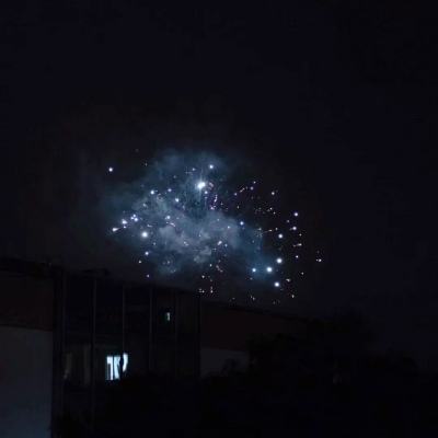国王两位君主手机版(又名王国两位君主)下载