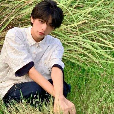 奇妙鲨鱼帮帮队宝宝巴士下载
